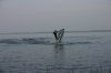 IMG_6359.JPG