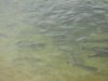 DSC00216.JPG