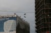 IMG_8179.JPG