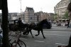 IMG_8605.JPG
