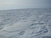 SDC11096.JPG