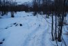 DSC_0745.jpg