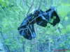 DSC00333.JPG
