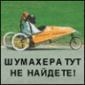 Дмитрий go