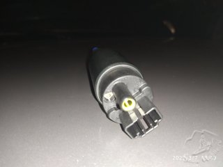 IMG_20230307_130936.jpg