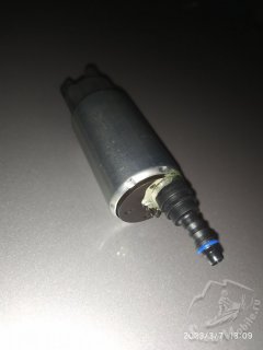 IMG_20230307_130919.jpg
