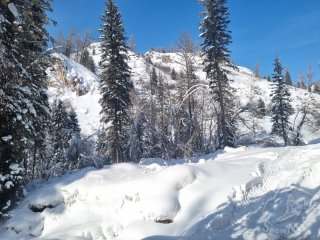 Изображение WhatsApp 2024-02-25 в 20.03.27_abb35b4e.jpg