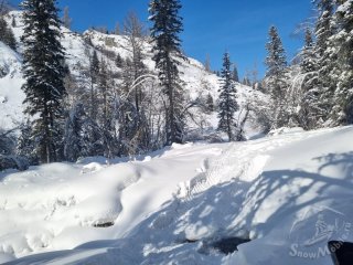 Изображение WhatsApp 2024-02-25 в 20.03.27_da0e5637.jpg