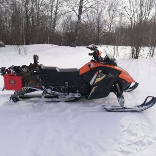 IMG_20230305_123231.jpg