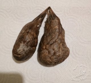 1731209805341.jpg
