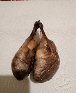 1731209846917.jpg