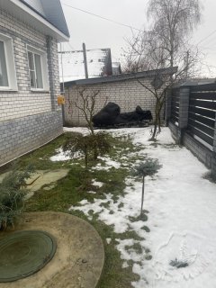 IMG_8011.jpeg