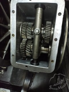 1738059613893.jpg