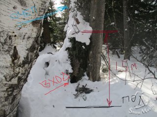 IMG_4608.JPG