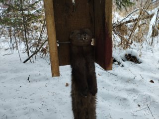 IMG_20241123_112958.jpg
