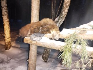IMG_20250101_174722.jpg