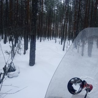 по прочищенным дорожкам.jpg