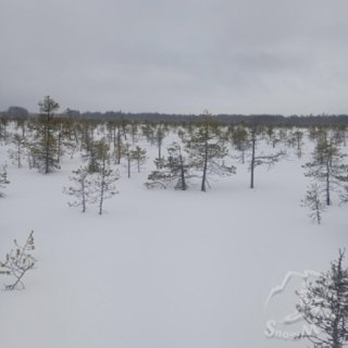 летом крепкие места.jpg