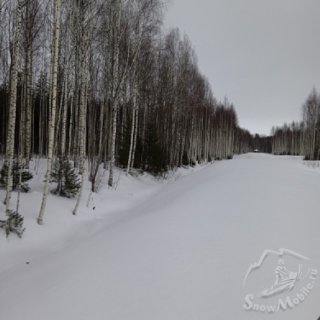 окультуренные площади.jpg