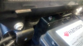 IMG_20250326_184841_1.jpg