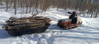 IMG_20250312_141631.jpg