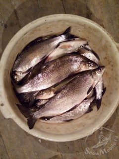 IMG_20250509_185555.jpg