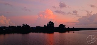 IMG_20250709_224901_1.jpg