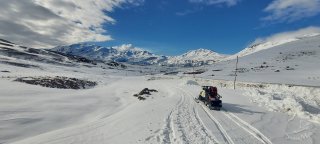20251014_114150.jpg