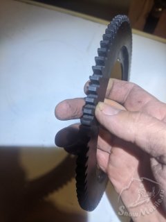 PXL_20251120_121755651.jpg