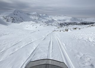 IMG_6343.jpeg