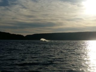 IMG-20180729-WA0072.jpg